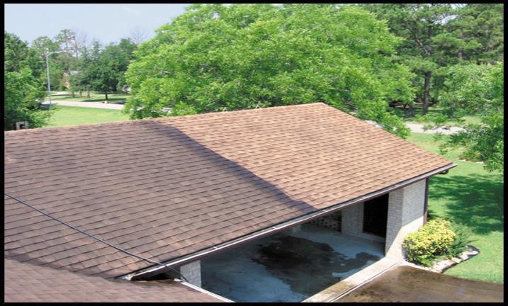 Roof soft washing result
